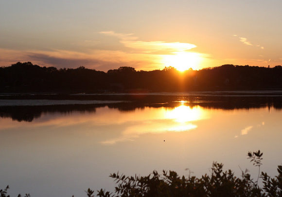 Summer Lake Pic