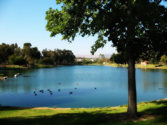 Lake in the Summer