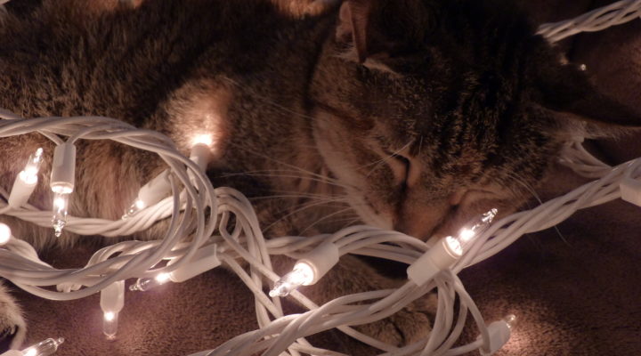 Merry Christmas from Young Adult Money!