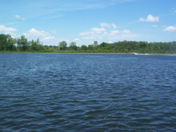 Minnesota Lake