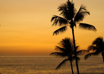 Kona Hawaii Vacation through Giveaways