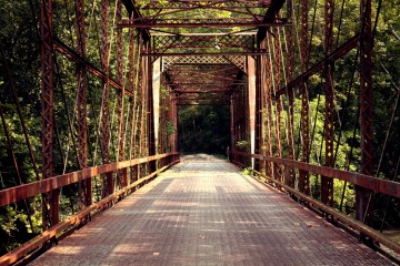 Bridge Fall Colors Cool Photo