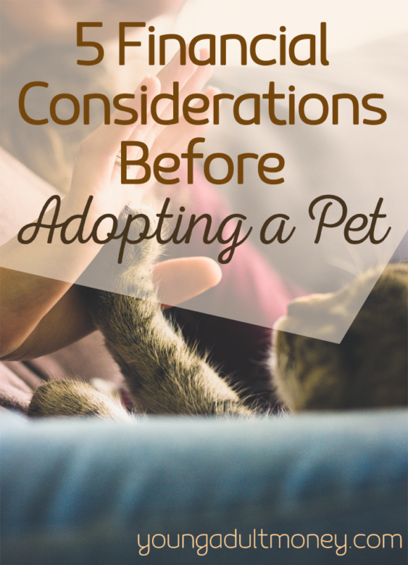Are you thinking about adding a puppy or kitten to your family? Take these 5 financial considerations before adopting a pet into account so you can be prepared.