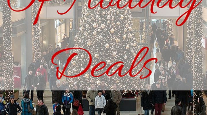 Make the Most of Holiday Deals