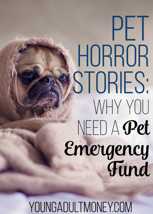 If you’re a pet owner, these pet horror stories (and the huge costs these pet owners faced) may just persuade you to have a backup plan for any pet emergency.