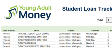 Use this Spreadsheet to Track your Student Loans | Young Adult Money