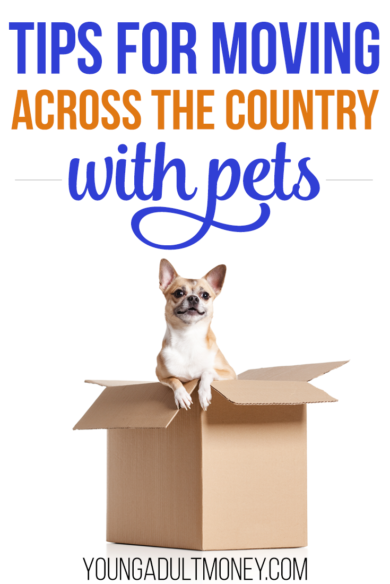 Moving is stressful enough in itself, but adding pets to the mix can add even more worries. Here's a few tips for making a move with pets go as smooth as possible.