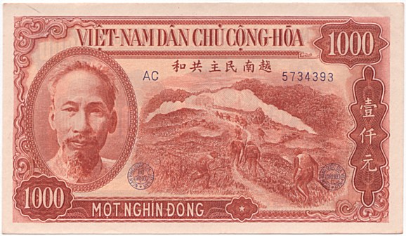 Vietnam Dong Young Adult Money