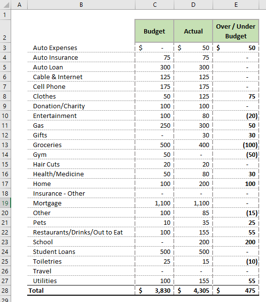 Budget in a Spreadsheet Microsoft Excel Formatted