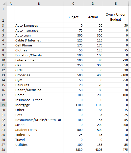 Budget in a Spreadsheet Microsoft Excel Young Adult Money Categories with Budget Final