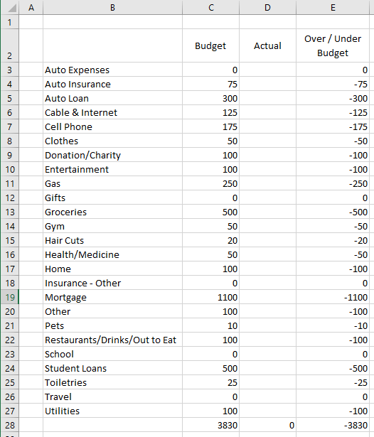 Budget in a Spreadsheet Microsoft Excel Young Adult Money Categories with Budget