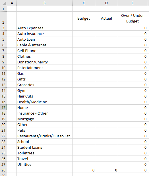 Budget in a Spreadsheet Microsoft Excel Young Adult Money Categories with Columns