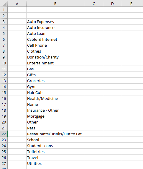Budget in a Spreadsheet Microsoft Excel Young Adult Money Categories