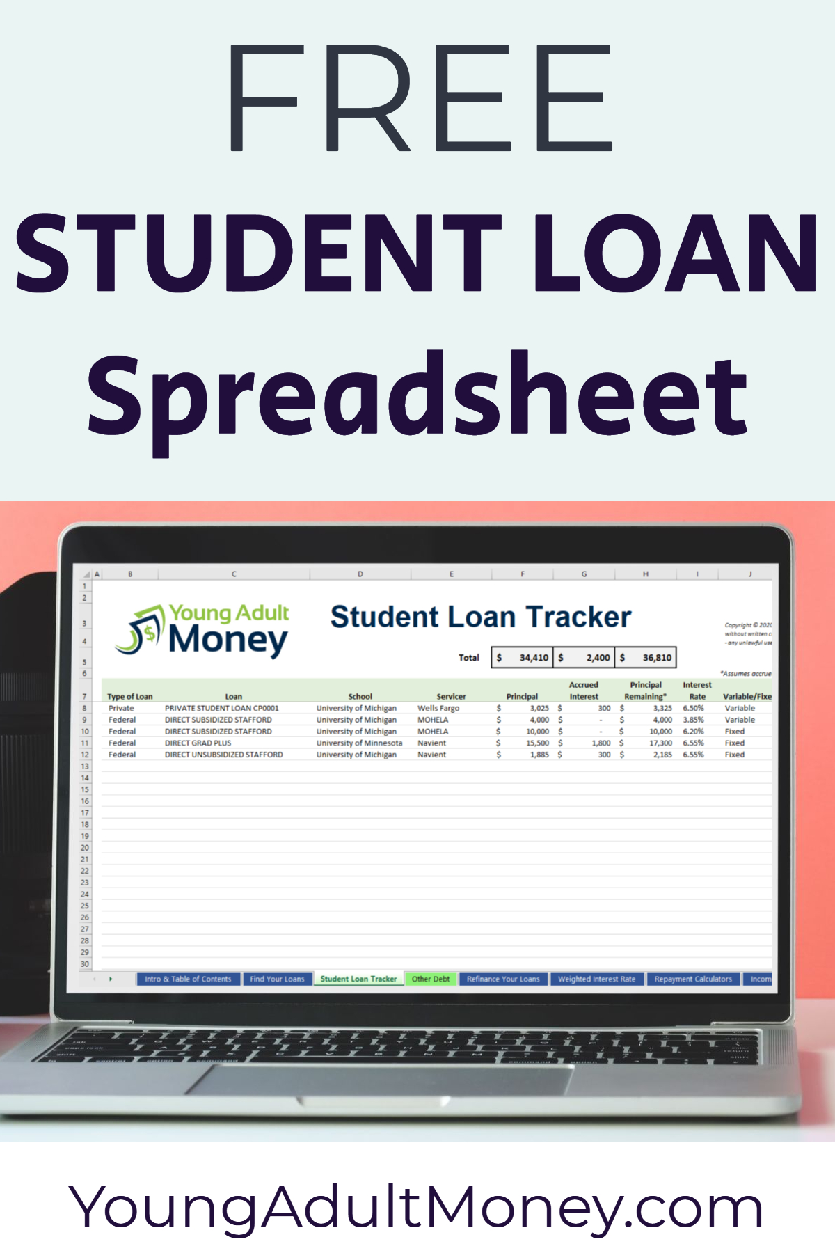 Student Loan Spreadsheet to Track Your Student Loans Young Adult Money